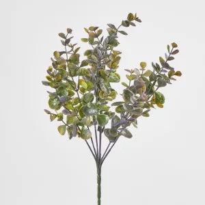 Eucalyptus Bush Purple by JMC FLORALS, a Plants for sale on Style Sourcebook