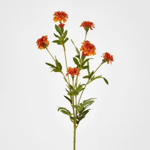 Marigold Spray Orange by JMC FLORALS, a Plants for sale on Style Sourcebook
