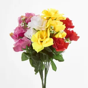 Rose Bush C Asstd Box of 60 by JMC FLORALS, a Plants for sale on Style Sourcebook