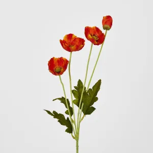 Mini Poppy Spray Orange by JMC FLORALS, a Plants for sale on Style Sourcebook