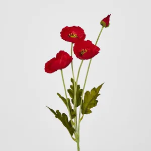 Mini Poppy Spray Red by JMC FLORALS, a Plants for sale on Style Sourcebook