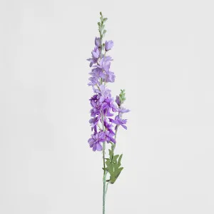 Delphinium 85cm Light Purple by JMC FLORALS, a Plants for sale on Style Sourcebook