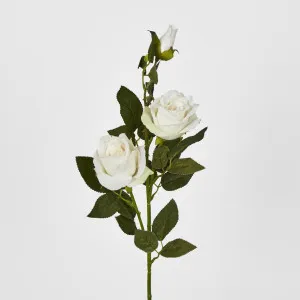 Rose Spray Cream by JMC FLORALS, a Plants for sale on Style Sourcebook