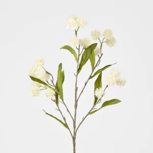 Burdock Spray White by JMC FLORALS, a Plants for sale on Style Sourcebook