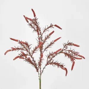 Amaranthus Spray Dark Pink by JMC FLORALS, a Plants for sale on Style Sourcebook