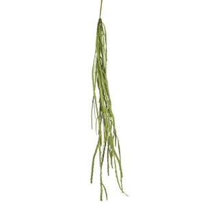 Pencil Hanging Bush 1.15m by Florabelle Living, a Plants for sale on Style Sourcebook