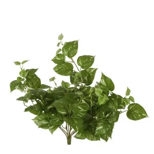 Pothos Leaf Hanging Vine Dark Green by Florabelle Living, a Plants for sale on Style Sourcebook