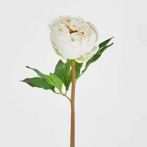 Peony Flower Real Touch Stem White Large by Florabelle Living, a Plants for sale on Style Sourcebook