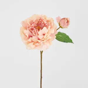 Peony Stem 61cm Apricot by Florabelle Living, a Plants for sale on Style Sourcebook