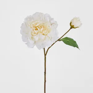 Peony Stem 61cm White by Florabelle Living, a Plants for sale on Style Sourcebook