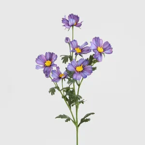Cosmos Spray 85cm Dark Purple by JMC FLORALS, a Plants for sale on Style Sourcebook