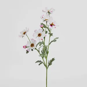 Cosmos Spray 85cm Pale Pink by JMC FLORALS, a Plants for sale on Style Sourcebook