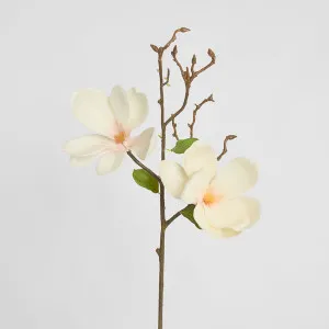 Magnolia Stem 70cm White by Florabelle Living, a Plants for sale on Style Sourcebook