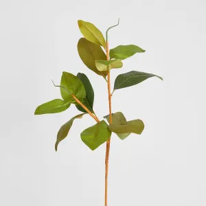 Autumn Magnolia Leaf Spray Stem 70cm by Florabelle Living, a Plants for sale on Style Sourcebook