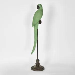 Amabela Parrot Large Green by Florabelle Living, a Statues & Ornaments for sale on Style Sourcebook