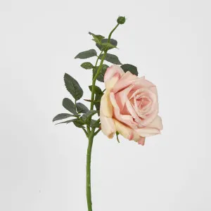 Queen Rose 35cm Blush Pink by JMC FLORALS, a Plants for sale on Style Sourcebook