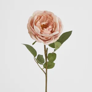Cabbage Rose 63cm Pink by JMC FLORALS, a Plants for sale on Style Sourcebook
