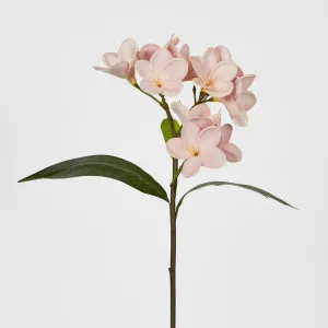 Frangipani Spray 46cm Pink by JMC FLORALS, a Plants for sale on Style Sourcebook