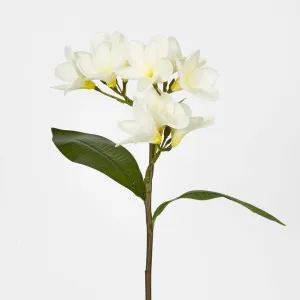 Frangipani Spray 46cm White by JMC FLORALS, a Plants for sale on Style Sourcebook
