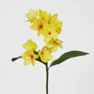 Frangipani Spray 46cm Yellow by JMC FLORALS, a Plants for sale on Style Sourcebook