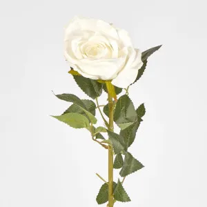 Open Rose Stem 68cm White by JMC FLORALS, a Plants for sale on Style Sourcebook