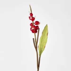 Shell Ginger 70cm Red by JMC FLORALS, a Plants for sale on Style Sourcebook