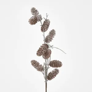 Pine Cone Branch by JMC FLORALS, a Plants for sale on Style Sourcebook