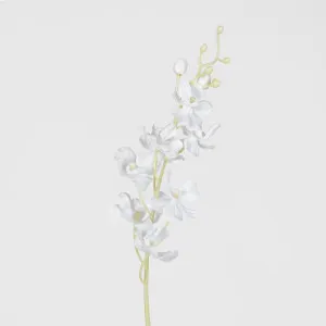 Dendrobium Orchid Spray White by JMC FLORALS, a Plants for sale on Style Sourcebook