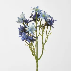Sea Aster Blue by JMC FLORALS, a Plants for sale on Style Sourcebook
