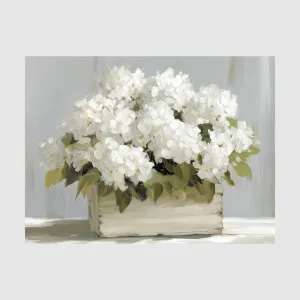 Arpere Crate of Hydrangeas Wall Art by PERFECT PIECES, a Prints for sale on Style Sourcebook