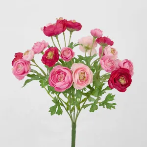Ranunculus Bouquet Pink by Florabelle Living, a Plants for sale on Style Sourcebook