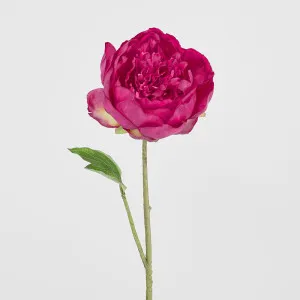 Peony Spray 60cm Fuchsia by Florabelle Living, a Plants for sale on Style Sourcebook