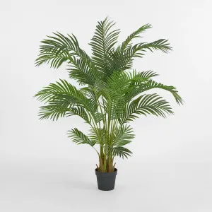 Areca Palm Tree Real Touch 170cm by TREE CREATIONS, a Plants for sale on Style Sourcebook