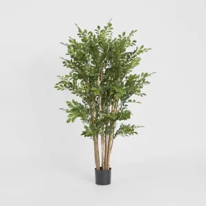 Eucalyptus Mini Leaf Tree 120cm Green by TREE CREATIONS, a Plants for sale on Style Sourcebook