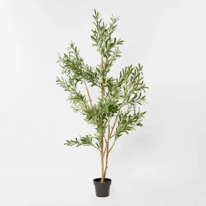 Verdant Olive Tree 180cm by TREE CREATIONS, a Plants for sale on Style Sourcebook