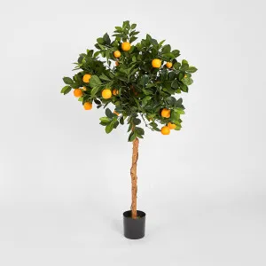 Golden Orange Tree 1.2m by TREE CREATIONS, a Plants for sale on Style Sourcebook
