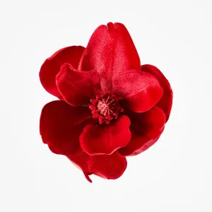 Luxe Velvet Clip On Magnolia Small Red by Vixen & Velvet, a Christmas for sale on Style Sourcebook