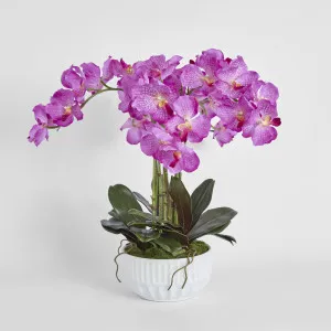 Arianne Arrangement White by Florabelle Living, a Plants for sale on Style Sourcebook