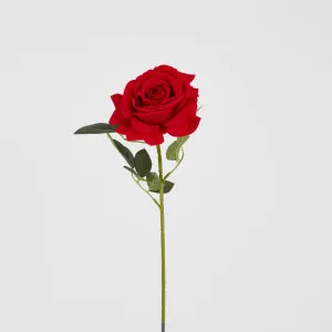 Garden Rose Stem Red by JMC FLORALS, a Plants for sale on Style Sourcebook