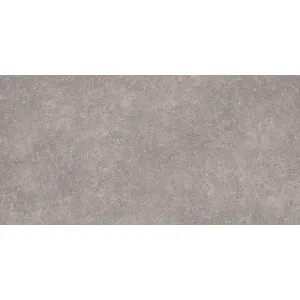 Florence Stone Dark Grey Extra Textured Tile by Beaumont Tiles, a Outdoor Tiles & Pavers for sale on Style Sourcebook