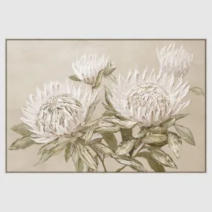 Protea Wall Art B by Florabelle Living, a Prints for sale on Style Sourcebook
