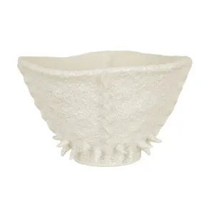 Forme Sedana Bowl - Ivory by GlobeWest, a Decorative Plates & Bowls for sale on Style Sourcebook