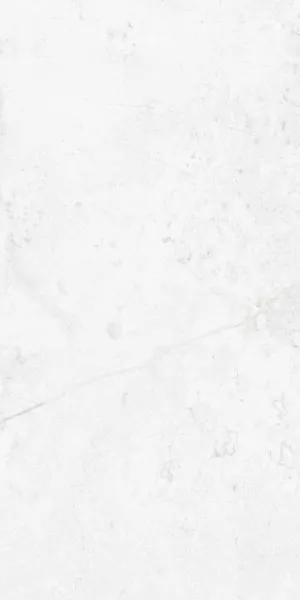 Forma Leonardo Arctic Chill (Matt) 300x600 by Sanctuary Makers, a Concrete Look Tiles for sale on Style Sourcebook