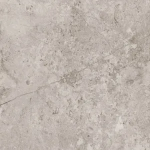 Forma Leonardo Cafe (Matt) 300x600 by Sanctuary Makers, a Concrete Look Tiles for sale on Style Sourcebook