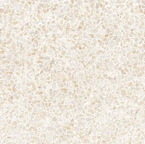 Terra Foray Biscotti Beige (Matt) 600x600 by Sanctuary Makers, a Terrazzo Look Tiles for sale on Style Sourcebook