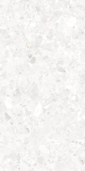 Terra Palacio Moonlight (Matt) 300x600 by Sanctuary Makers, a Terrazzo Look Tiles for sale on Style Sourcebook