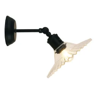 Oriel Lighting Croydon Pleated Clear Glass Wall Light - Black by Oriel Lighting, a Wall Lighting for sale on Style Sourcebook