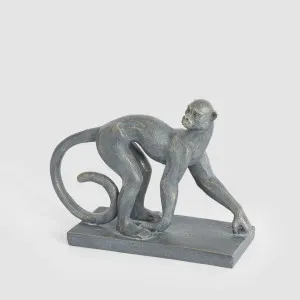 Caesar  Monkey Sculpture Black by Florabelle Living, a Statues & Ornaments for sale on Style Sourcebook