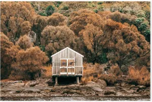 Boat Shed, Eaglehawk Bay, Tasmania by Gioia Wall Art, a Prints for sale on Style Sourcebook