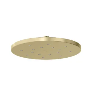 Phoenix LuxeXP Shower Rose 250mm Round Brushed Gold by PHOENIX, a Shower Heads & Mixers for sale on Style Sourcebook